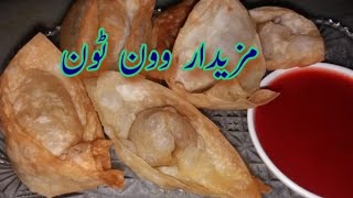 Chicken Wonton Recipe  Easy Wonton Folding Techniques  Fatimas Food [upl. by Ramor342]