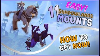 11 Shadowlands Mounts EASY to Obtain [upl. by Aliahs790]