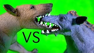 FIGHT BATTLE Entelodont Daeodon VS Hyaenodon Gigas REMATCH PREHISTORIC ANIMALS Who will win [upl. by Naujit275]