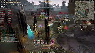 Black Desert Online SA T1 Node War 20241021  Absynthe  POV Archer 483 KD [upl. by Iatnohs559]