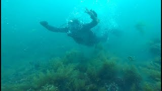 1st Season Snaring Crayfish off Bunbury [upl. by Isdnyl402]