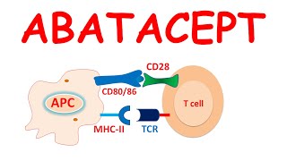 Abatacept orencia infusion  Precautions side effects amp uses [upl. by Tamarah]