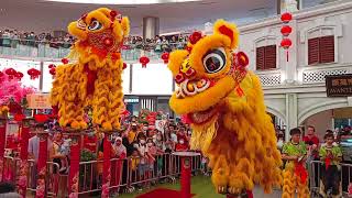 1 Utama  Acrobatic Lion Dance by Khuan Loke [upl. by Assenahs91]