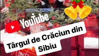 Excursie la Targul de Crăciun din Sibiu 🎅🏼 [upl. by Netnerb]