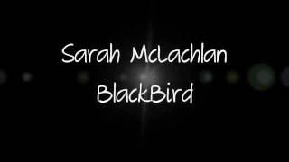 Blackbird Sarah McLachlan  Lyrics [upl. by Llertnad]