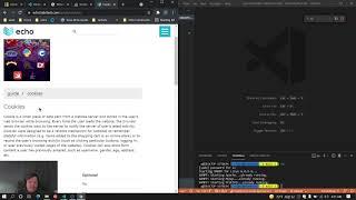 My New setup with WSL2 and echo framework [upl. by Samp]