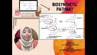 SIC3033NNGroup5HAFIZSYAZAJAZPRODUCTION OF STEROID HORMONE TESTOSTERONE [upl. by Aihsenot207]