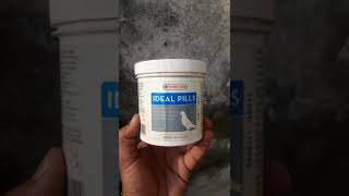 VERSELELAGA PRODUCT IDEAL PILLS FOR PIGEONS pigeon idealpills verselelaga youtubevideo [upl. by Hills]