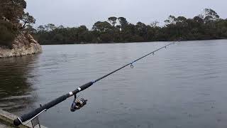 Estuary Fishing 🎣 In Cold Rainy 🌧 weather [upl. by Jonathon52]