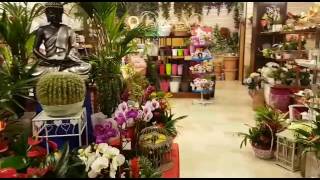 Tienda Flores Osuna  Floristería en Granada [upl. by Tiena143]