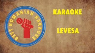 KARAOKE Levesa 2021 Negativ Versuri [upl. by Aissila]