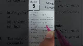 Modifications of stem morphologyoffloweringplants neet shorts youtubeshorts [upl. by Bunow]