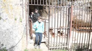 Découvrez la célèbre grotte de la Baume Bonne [upl. by Aihsilat]