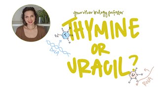 Why Thymine in DNA but Uracil in RNA [upl. by Sukey]