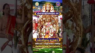 Kalpa Vriksha Vahanam  Srivari Annual Brahmotsavam 2024  07102024  SVBC2 Tamil  SVBCTTD [upl. by Alvan]