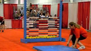 Dog Show  High Bar Jumping [upl. by Lew138]