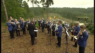 Haslemere Town Band [upl. by Vladamir533]