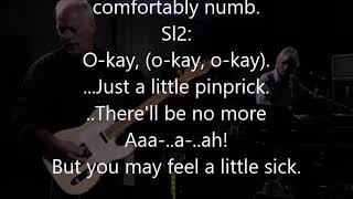 Comfortably numb Pink Floyd backing track without guitar solo karaoke lyrics [upl. by Kalman]