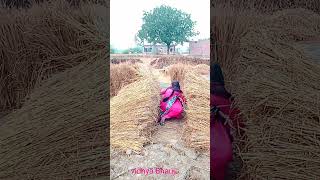 आओ राजा vidhya Bhauji sortsshortsvideo youtubshorts [upl. by Enayd]