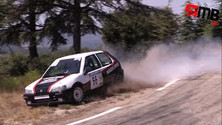 Rallye des Monts du Vaucluse 2016  Day 2 HD  Show and Mistakes [upl. by Esinel]