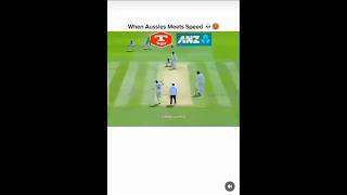 What a speed cricket video short [upl. by Llertnor560]