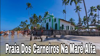 Praia Dos Carneiros Pernambuco Na Maré Alta Cardápios E Acesso Publico [upl. by Halas]