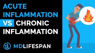 What is the difference between acute and chronic inflammation [upl. by Divine]