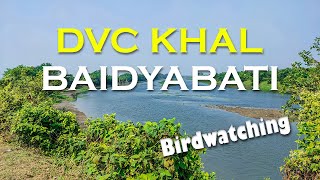 Baidyabati Dvc Khal  Birdwatching Area  One day trip  Creative Vlogs  Vlog 16 [upl. by Rehsu189]