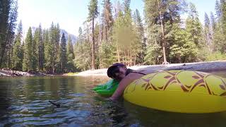 Yosemite 2018  Housekeeping Camp  River Float [upl. by Irwin]