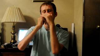 How to Play Moondance  Van Morrison on Harmonica [upl. by Veradi]