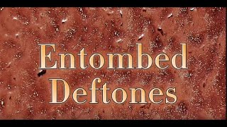 Entombed deftones short guitar cover [upl. by Einegue]