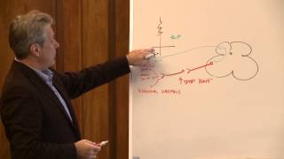 Physiology 2013 session 1 [upl. by Shalom]