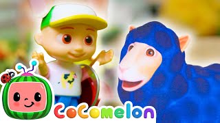 Baa Baa Wooly Black Sheep  🐑🎀  Toy Play Learning  CoComelon Nursery Rhymes amp Kids Songs [upl. by Eldredge]