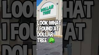 Look What I Found At Dollar Tree 🌳 [upl. by Nitreb851]