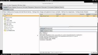 4 Minute Overview Of Burp Suite SiteMap and Spider [upl. by Yrtnahc224]