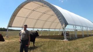 BRITESPAN  52 x 98 Beef Shade Building  Gerald Cowanwmv [upl. by Renita]