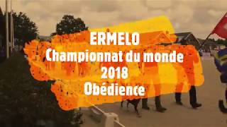 FCI Obedience World Championship Ermelo Netherlands 2018 [upl. by Karena]