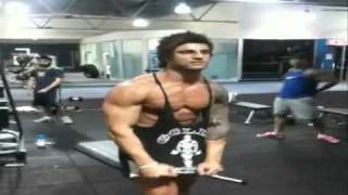 Zyzz Come At Me Bro [upl. by Weide]