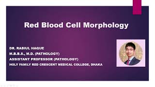 Red Blood Cell Morphology [upl. by Eachern889]