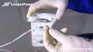 How to load tubing on peristaltic pump head DG [upl. by Leacock66]