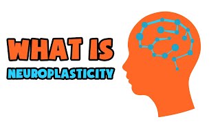 What is Neuroplasticity  Explained in 2 min [upl. by Bergh]