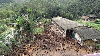 FULL VIDEO 130 Days of raising chickens How to care for chickens and prevent diseases Chicken Farm [upl. by Anirt]