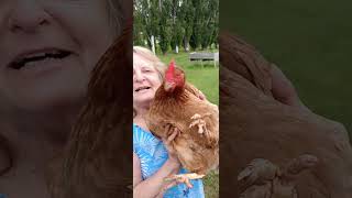 65 year old with Trained Chicken untrained Dog [upl. by Lledo261]