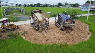 Project Started Fill land in field by dozer pour bamboo with soil unloading dump truck 5TON [upl. by Kcirdehs]