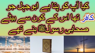 Abu jehel k Kon Se Bete Ne  islam Qabool  Kya Tha  Explained By Explore history official🕋🕋🕋🕋🕋 [upl. by Alket750]