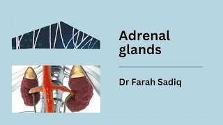 clinical scenarioadrenal gland [upl. by Ellenwad114]