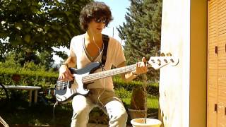 Little Lion Man  Mumford amp Sons Bass Cover [upl. by Leontine]