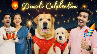 Diwali Celebration With Family  Leo Or Reo Ne Fode Patake  Anant Rastogi [upl. by Gwenora]