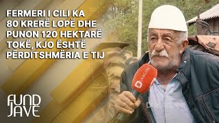 Fermeri i cili ka 80 krerë lopë dhe punon 120 hektarë tokë kjo është përditshmëria e tij [upl. by Alenoel805]