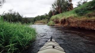 Kayaking the Mary River Kenilworth Sunshine Coast Queensland [upl. by Tayib]